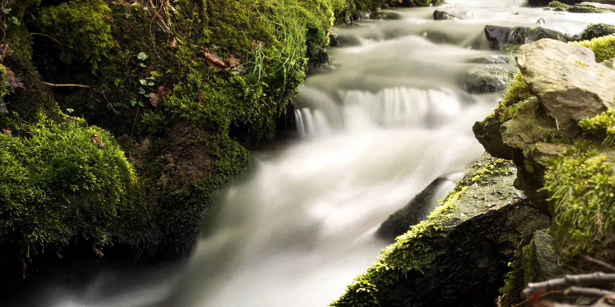 Ruisseau Hargnies